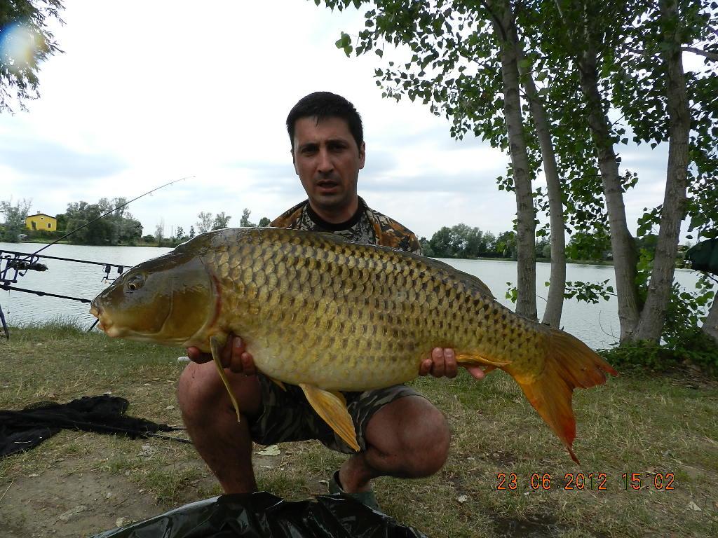 FOTO CARPFISHING - raul-212.JPG